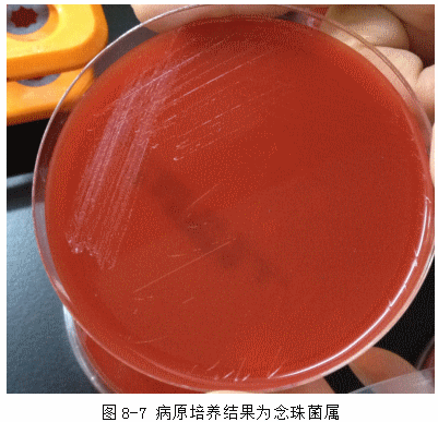 ZY016_35_3.gif